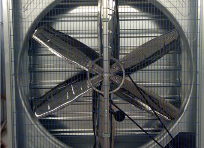 點(diǎn)擊查看詳細(xì)信息<br>標(biāo)題：Heavy Hammer Type Animal Husbandry Fan 閱讀次數(shù)：1633