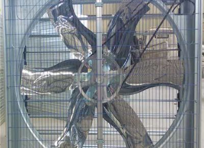 點(diǎn)擊查看詳細(xì)信息<br>標(biāo)題：Push Pull Negative Pressure Fan 閱讀次數(shù)：1519